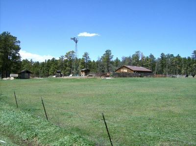 Old Homestead, Black Forest.